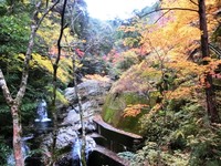 金山の滝