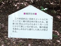 解説看板