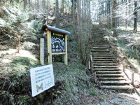枯山