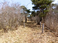 枯山