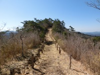 枯山