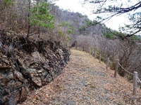 枯山