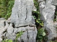 立須の峰