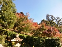 可睡斎の紅葉
