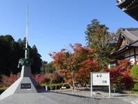 可睡斎の紅葉