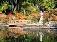 可睡斎の紅葉