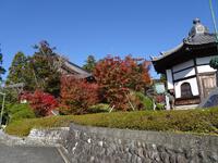 可睡斎の紅葉