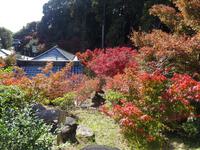 可睡斎の紅葉