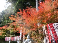 可睡斎の紅葉