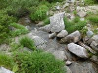 剣ヶ池から流れ出す沢