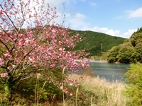 関山