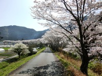 気田川堤