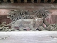 貴船神社手水舎の寅（虎）