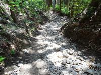 足を滑らせた下山途中の道