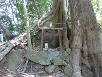 神社裏山