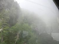 立ち込めた霧