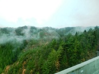 車窓からの風景