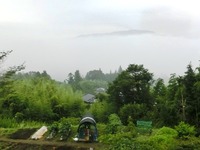 朝霧