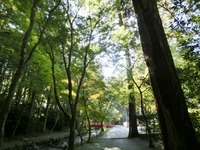 宮川沿いの道