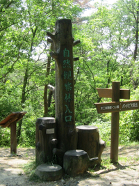 「自然観察林入口」の看板