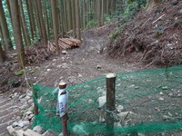 作業道工事現場