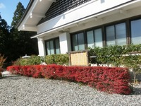 色づいた山頂