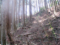 久保田道