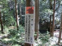 「熊らしきものの目撃情報がありました。」の警告看板