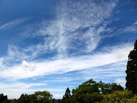 秋の空