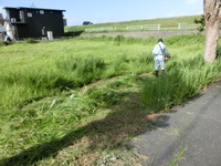 駐車場の草刈り