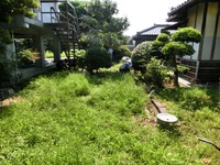旧津倉家草取り