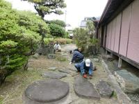 草取り