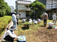 旧津倉家草取り