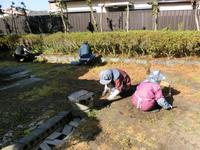 旧津倉家庭園の草取り