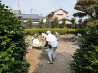 草取り