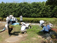 旧津倉家の草取り