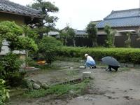 旧津倉家住宅庭園の草取り