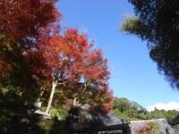 玖延寺の紅葉