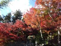 玖延寺の紅葉
