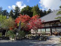 玖延寺の紅葉