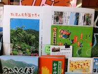 秋葉山表参道マップ
