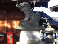 松本神社の狛犬