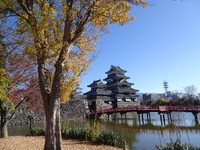 松本城