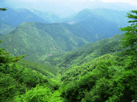 登山道から水窪方面