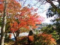 水窪橋の紅葉