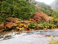 水窪川の紅葉