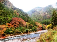 水窪川の紅葉