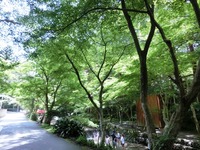 小國神社境内地