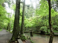 宮川沿いの道