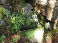 水場